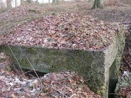 Ligne Maginot - HESTROFF NORD 5 - (Blockhaus de type indeterminé) - Abri ou observatoire de type indéterminé