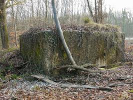 Ligne Maginot - BOUSSE NORD - (Blockhaus pour arme infanterie) - Côté entrée