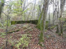 Ligne Maginot - VOR BERG 2 - (Blockhaus pour canon) - La façade sud du blockhaus.