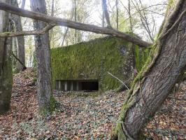 Ligne Maginot - VOR BERG 2 - (Blockhaus pour canon) - La façade de tir vers l'est.