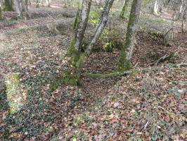 Ligne Maginot - VOR BERG 3 - (Abri) - Le réseau de tranchées à proximité.