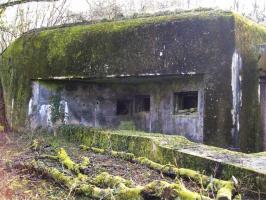 Ligne Maginot - METRICH NORD - C50 - (Casemate d'infanterie - Simple) - Vue extérieure