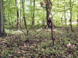 Ligne Maginot - NONNENBERG - X17 - (Abri) - 