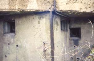 Ligne Maginot - BOIS DE KOENIGSMACKER  - C52 - (Casemate d'infanterie - Simple) - 