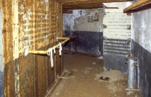 Ligne Maginot - BOIS DE KOENIGSMACKER  - C52 - (Casemate d'infanterie - Simple) - L'étage supérieur