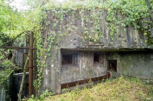 Ligne Maginot - HUMMERSBERG SUD - C54 - (Casemate d'infanterie - Simple) - 