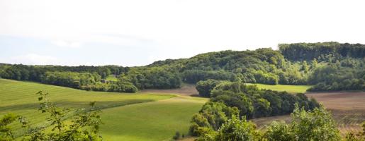 Ligne Maginot - HUMMERSBERG SUD - C54 - (Casemate d'infanterie) - Vu en direction de l’ouvrage ouest du Hackenberg