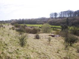 Ligne Maginot - PETERSBERG - X4 - (Abri actif) - Vue d'ensemble