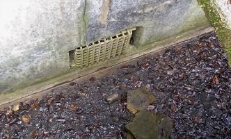 Ligne Maginot - PETERSBERG - X4 - (Abri actif) - 