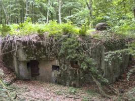Ligne Maginot - BOIS DE KLANG - X24 (QUARTIER KLANG - III/164° RIF) - (Abri) - L'entrée droite