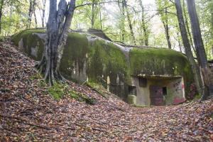 Ligne Maginot - BOIS DE KLANG - X24 (QUARTIER KLANG - III/164° RIF) - (Abri) - Entrée gauche