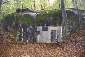 Ligne Maginot - BOIS DE KLANG - X24 (QUARTIER KLANG - III/164° RIF) - (Abri) - Entrée gauche