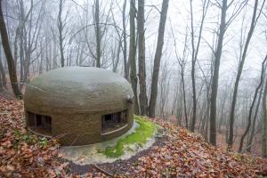 Ligne Maginot - BOIS DE KLANG - X24 (QUARTIER KLANG - III/164° RIF) - (Abri) - Cloche GFM