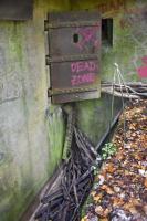 Ligne Maginot - BOIS DE KLANG - X24 (QUARTIER KLANG - III/164° RIF) - (Abri) - Entrée gauche
Entrée et fossé diamant