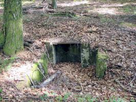 Ligne Maginot - BOIS DE KLANG (CM9 - III/164° RIF) - (PC de Sous-Quartier) - Aux alentours
Au premier plan, on voit une première alvéole possédant une niche et au second plan une deuxième alvéole.