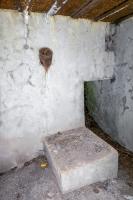 Ligne Maginot - BB365 - EICHEN 2 - (Blockhaus pour canon) - 