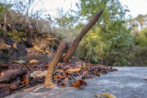 Ligne Maginot - BB367 - EICHEN 1 - (Blockhaus pour arme infanterie) - Sur le dessus du bloc
Détails