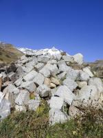 Ligne Maginot - SELOGES - (Ouvrage d'infanterie) - Restes du réseau de défense extérieure, socles des ardillons et piquets supportant le fil de fer barbelé 
