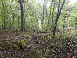 Ligne Maginot - HUBERBUSCH NORD  - C58 - (Casemate d'infanterie) - Tranchée et réseau barbelés