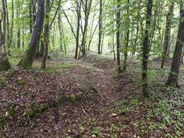 Ligne Maginot - HUBERBUSCH NORD  - C58 - (Casemate d'infanterie) - Tranchée entre les deux casemates