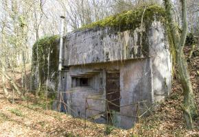 Ligne Maginot - BOIS DE FERANGE - X27 - (Abri) - L'entrée ouest