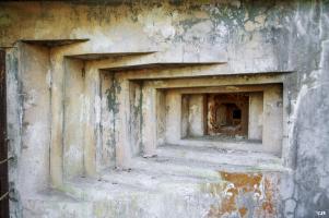 Ligne Maginot - BOIS DE FERANGE - X27 - (Abri) - Créneau