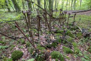 Ligne Maginot - CHENES BRULES - X23 - (Abri) - Reste du réseau de barbelés devant le coffre nord