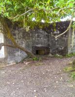 Ligne Maginot - STERNBUSCH - (Blockhaus de type indeterminé) - Vue sur le creneau