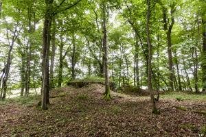 Ligne Maginot - BB321 - (Blockhaus pour arme infanterie) - 