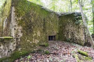 Ligne Maginot - BB321 - (Blockhaus pour arme infanterie) - 