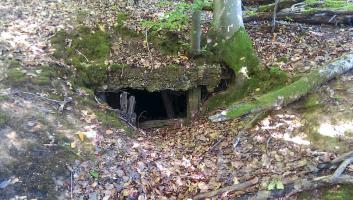 Ligne Maginot - PFAFFENKLAUSERBUSCH - (Abri) - Entrée de l'abri
