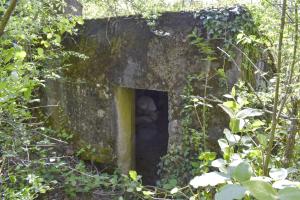 Ligne Maginot - BOIS DE DESSENHEIM SUD-OUEST 6 - (PC) - Entrée de la salle Nord