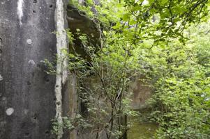 Ligne Maginot - LANGHEP SUD - (Casemate d'infanterie - Simple) - La casemate étant noyée par la végétation, je n'ai pu faire une vue d'ensemble .