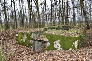 Ligne Maginot - CB224 - BOIS DE CATTENOM 06 - (Blockhaus pour canon) - L'entrée des munitions et du matériel. avec un créneau de défense rapprochée au-dessus.