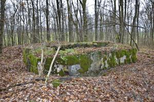 Ligne Maginot - CB224 - BOIS DE CATTENOM 06 - (Blockhaus pour canon) - Coté entrée des hommes