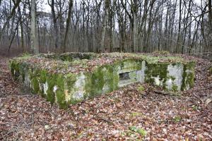 Ligne Maginot - CB224 - BOIS DE CATTENOM 06 - (Blockhaus pour canon) - Coté créneau de tir