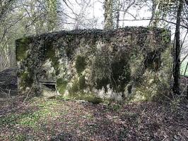 Ligne Maginot - DALEM EST - (Blockhaus pour canon) - 