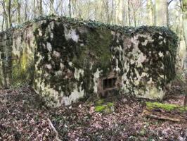 Ligne Maginot - CB276 - DALEM OUEST - (Blockhaus pour arme infanterie) - 