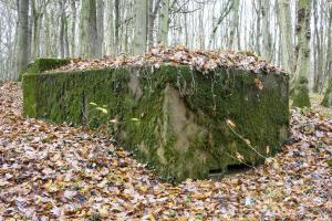 Ligne Maginot - CB117-C - OBERHEIDE 03 - (Blockhaus pour arme infanterie) - 