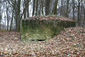 Ligne Maginot - CB117-C - OBERHEIDE 03 - (Blockhaus pour arme infanterie) - 