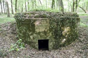 Ligne Maginot - CB117-C - OBERHEIDE 03 - (Blockhaus pour arme infanterie) - La Croix de Lorraine au-dessus de l'entrée est bien visible
