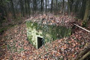 Ligne Maginot - CB119-C - OBERHEIDE 01 - (Blockhaus pour arme infanterie) - 