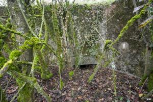 Ligne Maginot - BB307 - (Blockhaus pour arme infanterie) - 