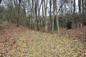 Ligne Maginot - BB339 - ROHRBUSCH - (Blockhaus pour canon) - A droite le blockhaus et à gauche la plate forme ferroviaire en direction de Dalstein