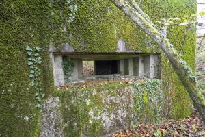 Ligne Maginot - BB339 - ROHRBUSCH - (Blockhaus pour canon) - 