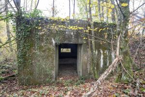 Ligne Maginot - BB339 - ROHRBUSCH - (Blockhaus pour canon) - L'entrée du materiel