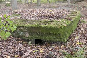 Ligne Maginot - SCHESSEL 1 - (Blockhaus pour arme infanterie) - 