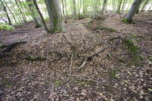 Ligne Maginot - SCHESSEL 2 - (Blockhaus pour arme infanterie) - Tranchées dans le secteur, liaison ou combat