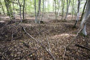 Ligne Maginot - SCHESSEL 2 - (Blockhaus pour arme infanterie) - Tranchées dans le secteur, liaison ou combat