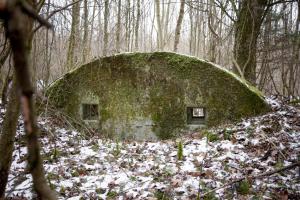 Ligne Maginot - BOIS DE COUME 3 - (Abri) - 